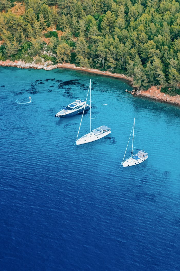 Aerial shot of luxurious yachts anchored in a clear blue sea next to a lush green forest.